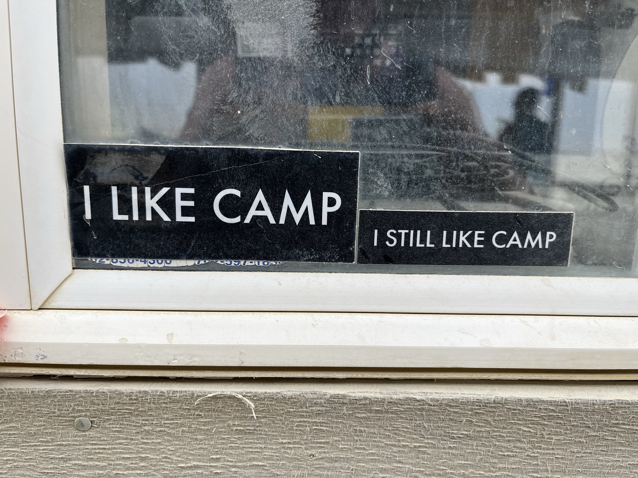 I LIKE CAMP. I STILL LIKE CAMP.